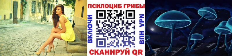 Псилоцибиновые грибы Psilocybine cubensis  Поворино 